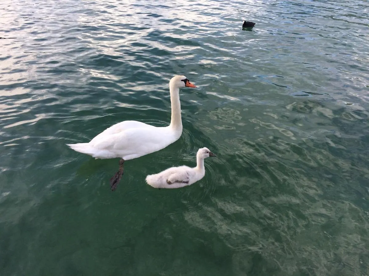 Appartement Lac Annecy plage privée, Duplex Baie des voiles Duingt